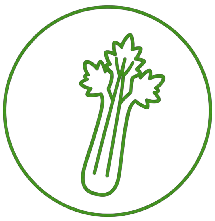 Selderij