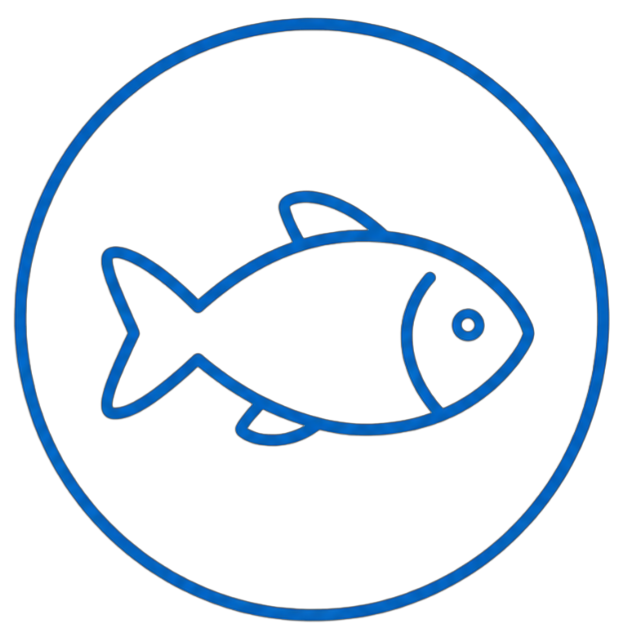 Vis
